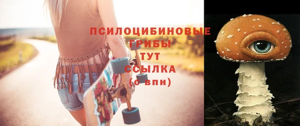 первитин Ладушкин