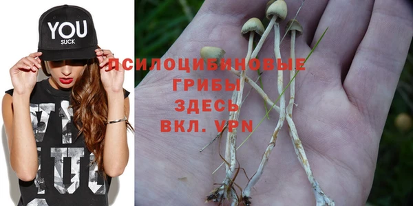 героин Лагань